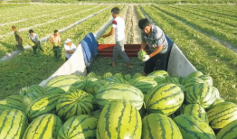 网红吃瓜最新爆料图片